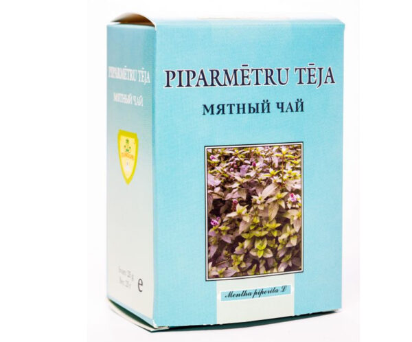 Piparmētra