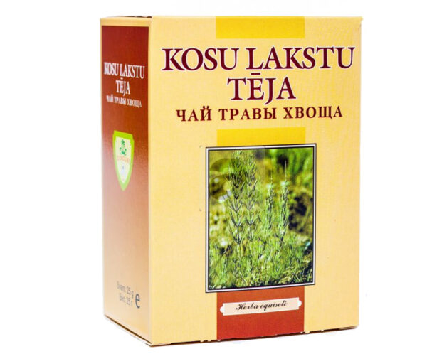 Хвощ